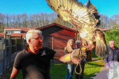 2019-02-27 De Valkenhof 027