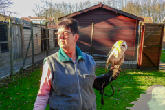 2019-02-27 De Valkenhof 034