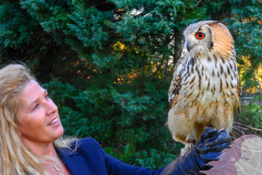 2019-02-27 De Valkenhof 067