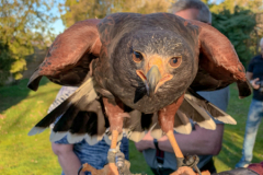 2019-02-27 De Valkenhof 093