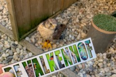 2019-02-27 De Valkenhof 103