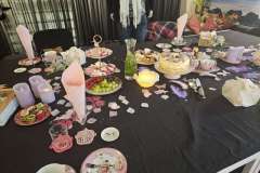 2025-01-26-verwendag-005