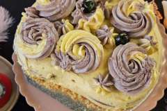 2025-01-26-verwendag-023